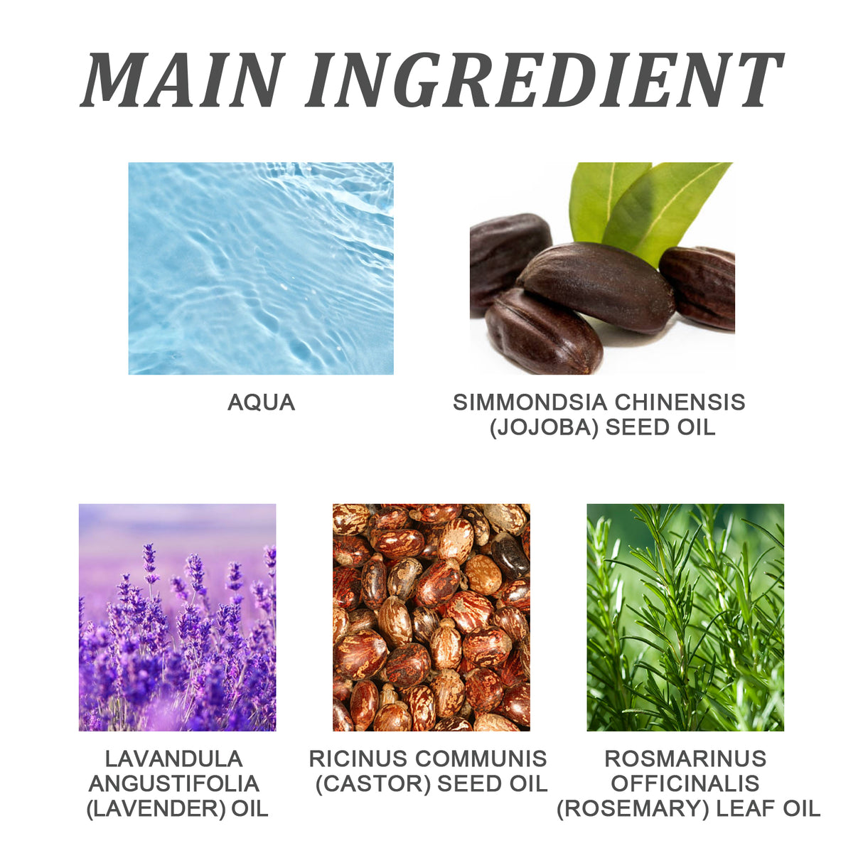 Hair Essential Oil, Scalp Massage Moisturizes And Softness To Prevent Strong And Thick Hair - V.I.P Digital Presence