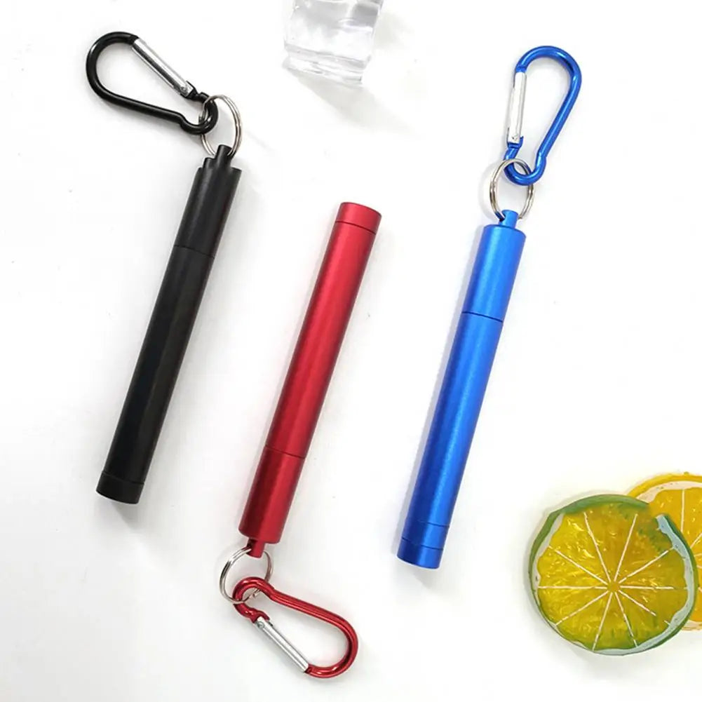 1 Set Reusable Telescopic Straw Set Portable Stainless Steel Easy To Clean Straw With Carry Case - V.I.P Digital Presence