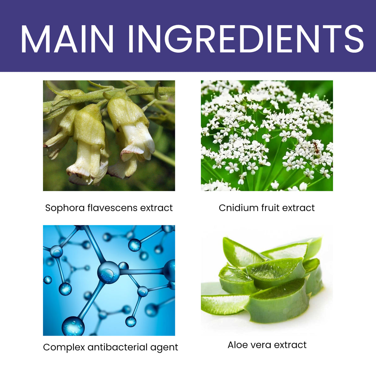 Pet Anti-Itch Spray, Pet Universal Cleaning And Soothing Skin Fur For Anti-Mite Anti-Bug Anti-Itch Spray - V.I.P Digital Presence