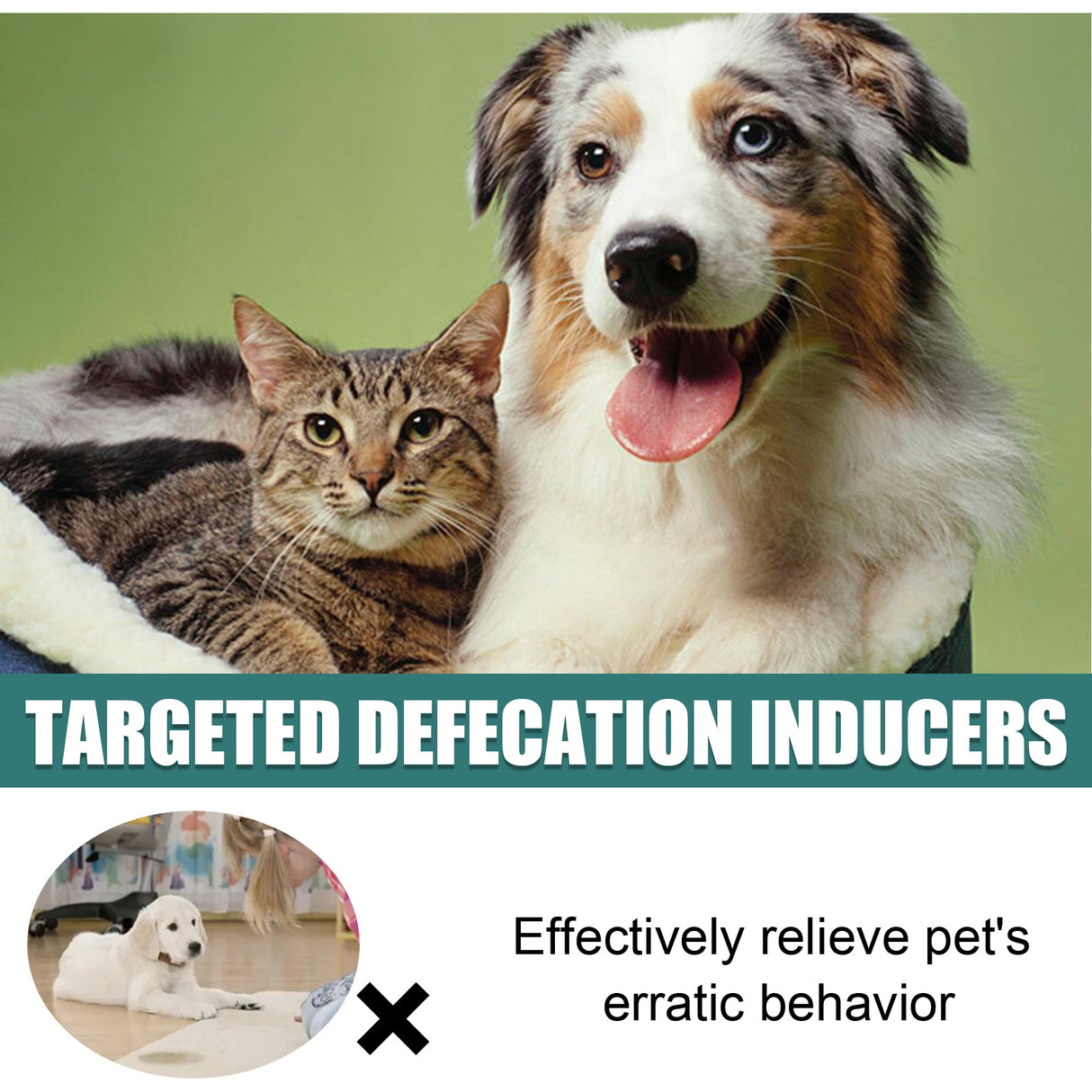 Pet Location-Based Defecation Inducers, Pet Toilet Inducer Urine Locator Toilet Training Agent - V.I.P Digital Presence