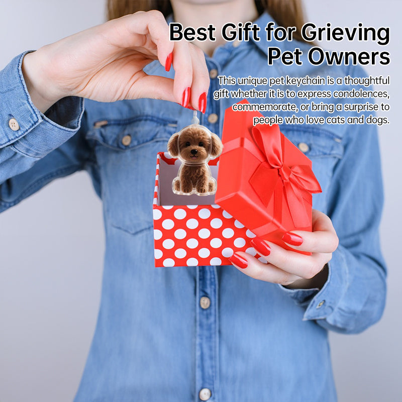 A transparent DIY pet hair memorial keychain box, a sweet keepsake for dog lovers. - V.I.P Digital Presence