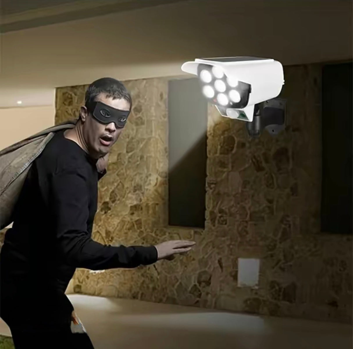 SolarGuard Fake Cam Light