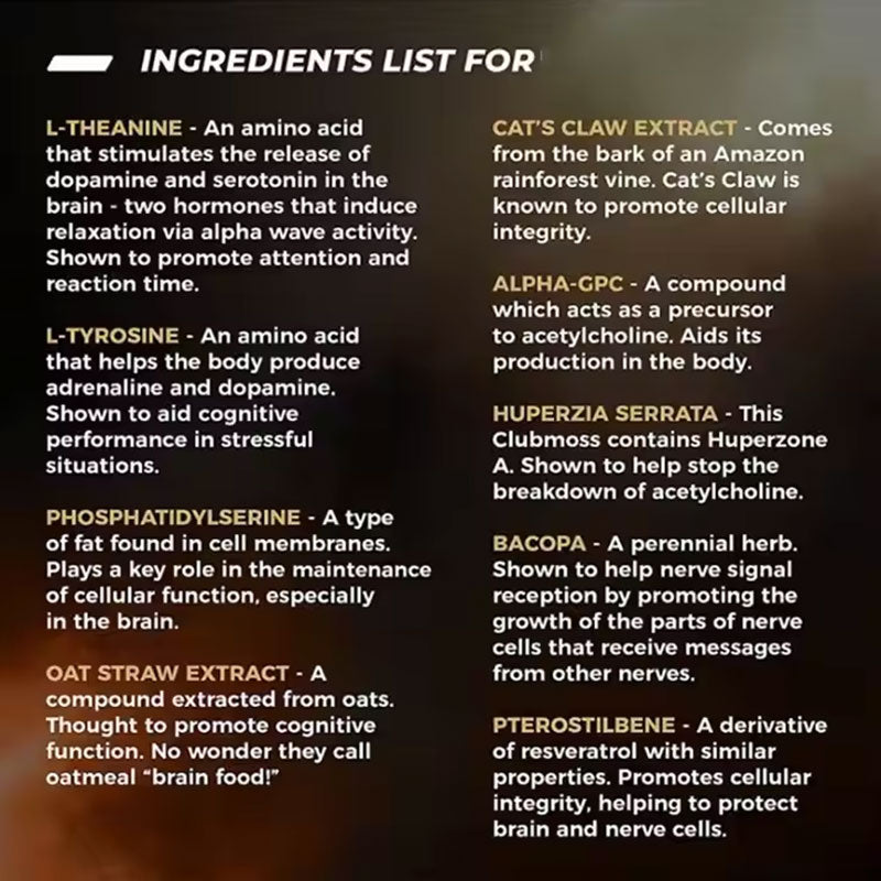 Intelligence Capsule Brain Capsule - V.I.P Digital Presence