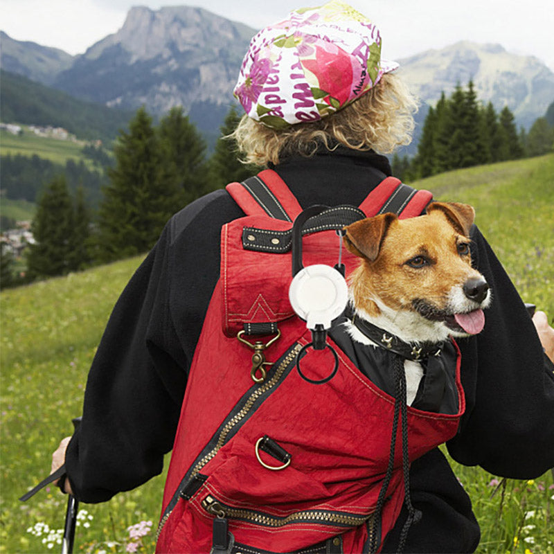 New Outdoor Automatic Retractable Wire Rope Luya Anti-theft Tactical Keychain Telescopic Keychain Retractable Hook Tool - V.I.P Digital Presence