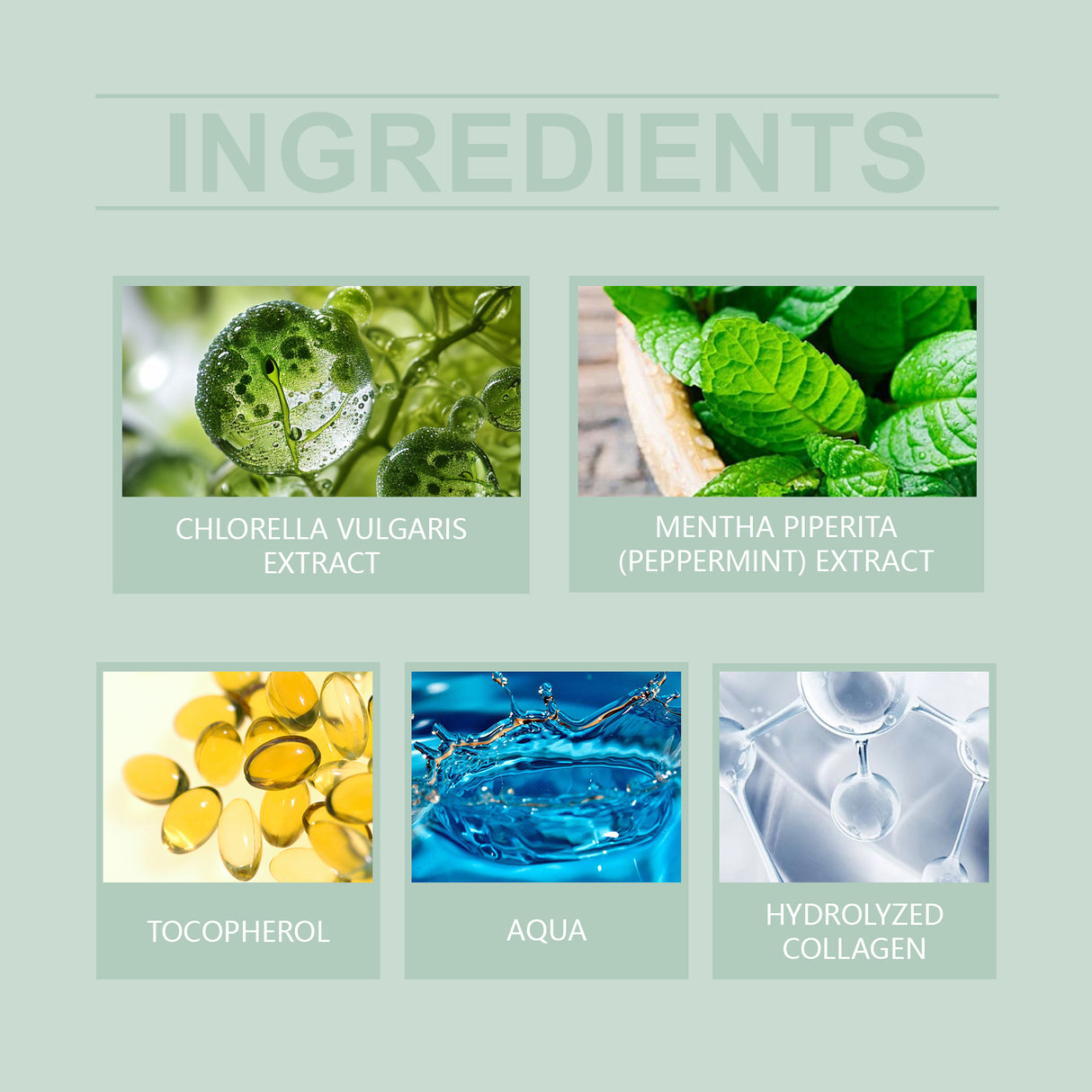 Herbal Cleansing Gel For Gentle Skin Care, Cleansing, Hydrating And Pore Narrowing Facial Treatment - V.I.P Digital Presence