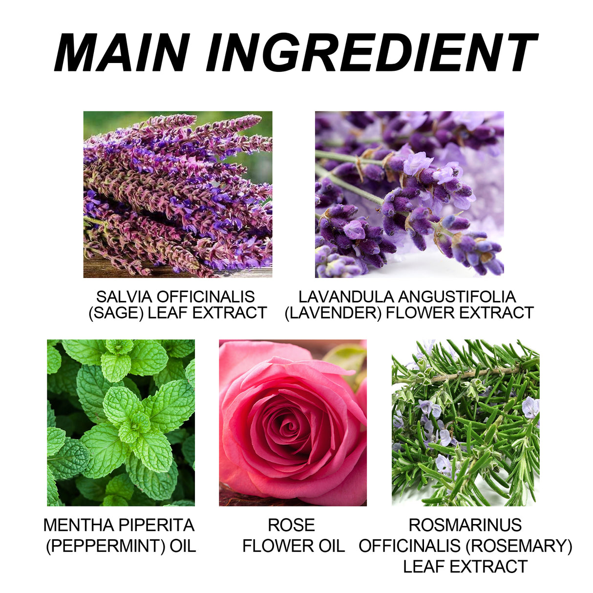 Essential Oil Goodnight Patch, Helps You Fall Asleep Quickly At Night And Relieves Body Muscle Fatigue And Stress Sleep Patch - V.I.P Digital Presence