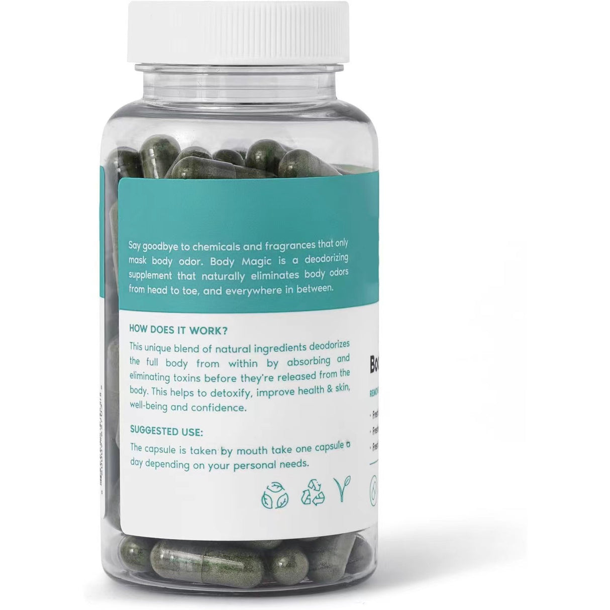 Chlorophyll Capsules Body Magic Capsules GMP Chlorophyll Capsules - V.I.P Digital Presence