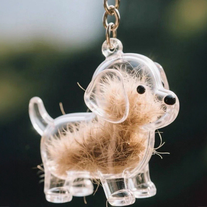 A transparent DIY pet hair memorial keychain box, a sweet keepsake for dog lovers. - V.I.P Digital Presence