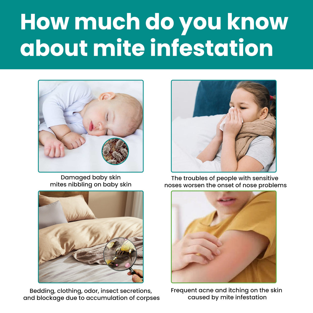 Herbaceous Mite Control Kit Travel Outdoor Camping Home Bedding Clothing Herbaceous Mosquito Repellent Mite Control - V.I.P Digital Presence