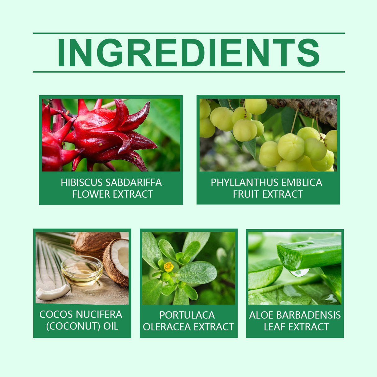 Herbal Hair Care Oil Gently Cleans And Moisturizes Dry And Split Hair And Nourishes Hair - V.I.P Digital Presence