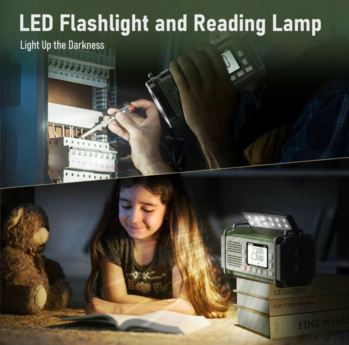 StormGuard Pro Radio