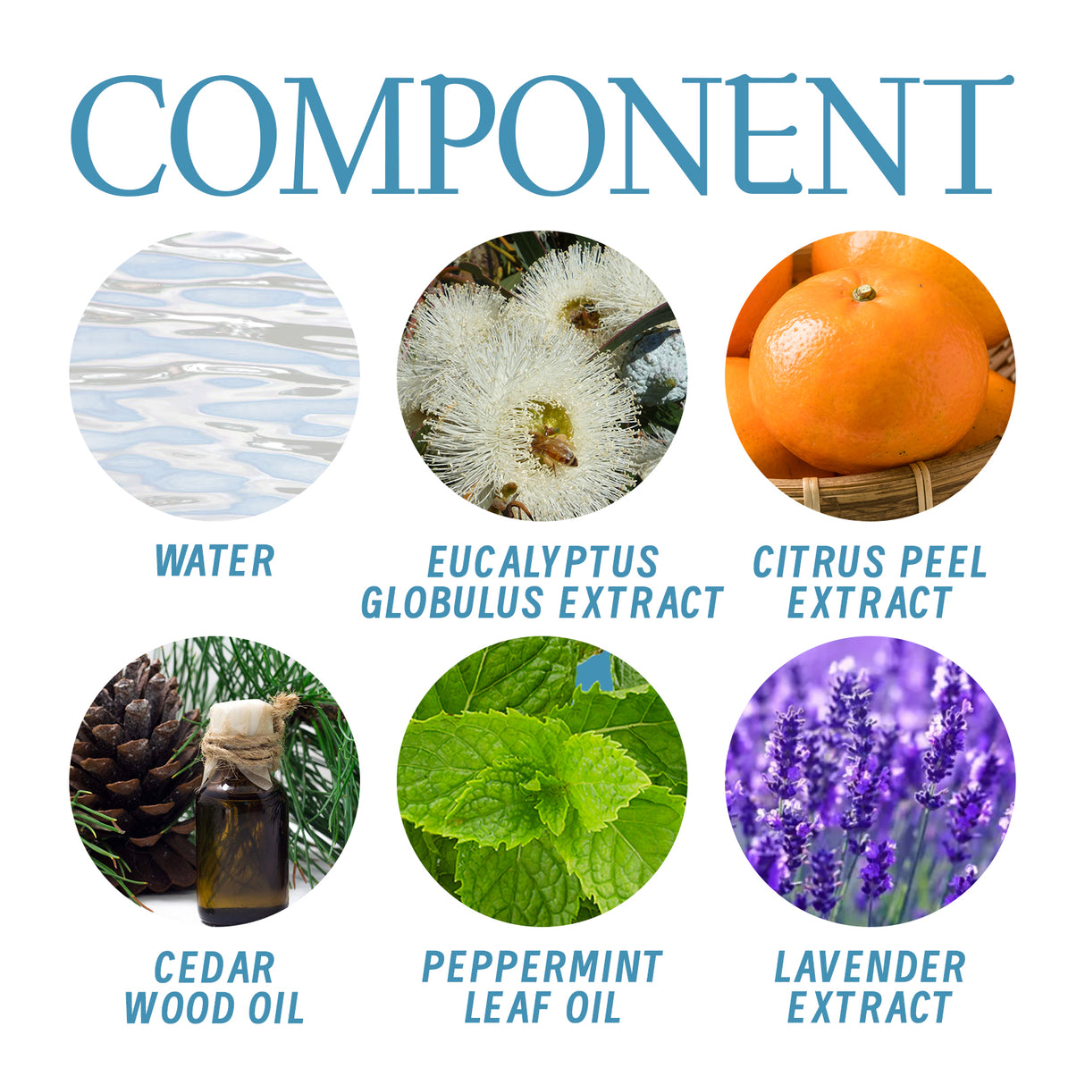 Whole Body Deodorant, Long Lasting Fragrance Clean Body Odor Body Odor Sweat Refreshing Fragrance Care Cream - V.I.P Digital Presence