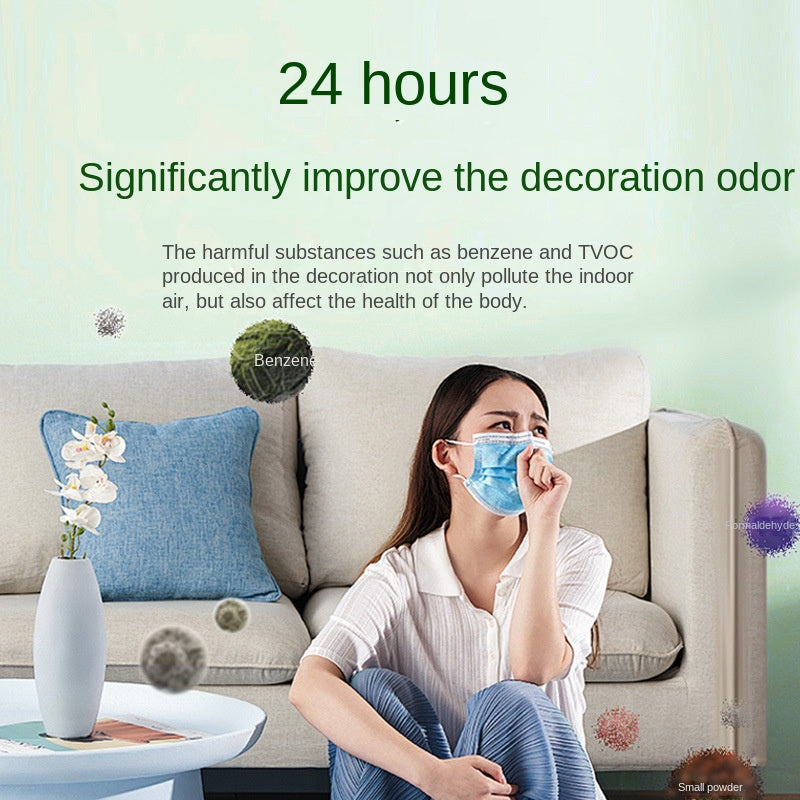 Formaldehyde Removal Jelly New House Household Odor Removal Agent Powerful Air Purifier Magic Box Artifact Decoration - V.I.P Digital Presence