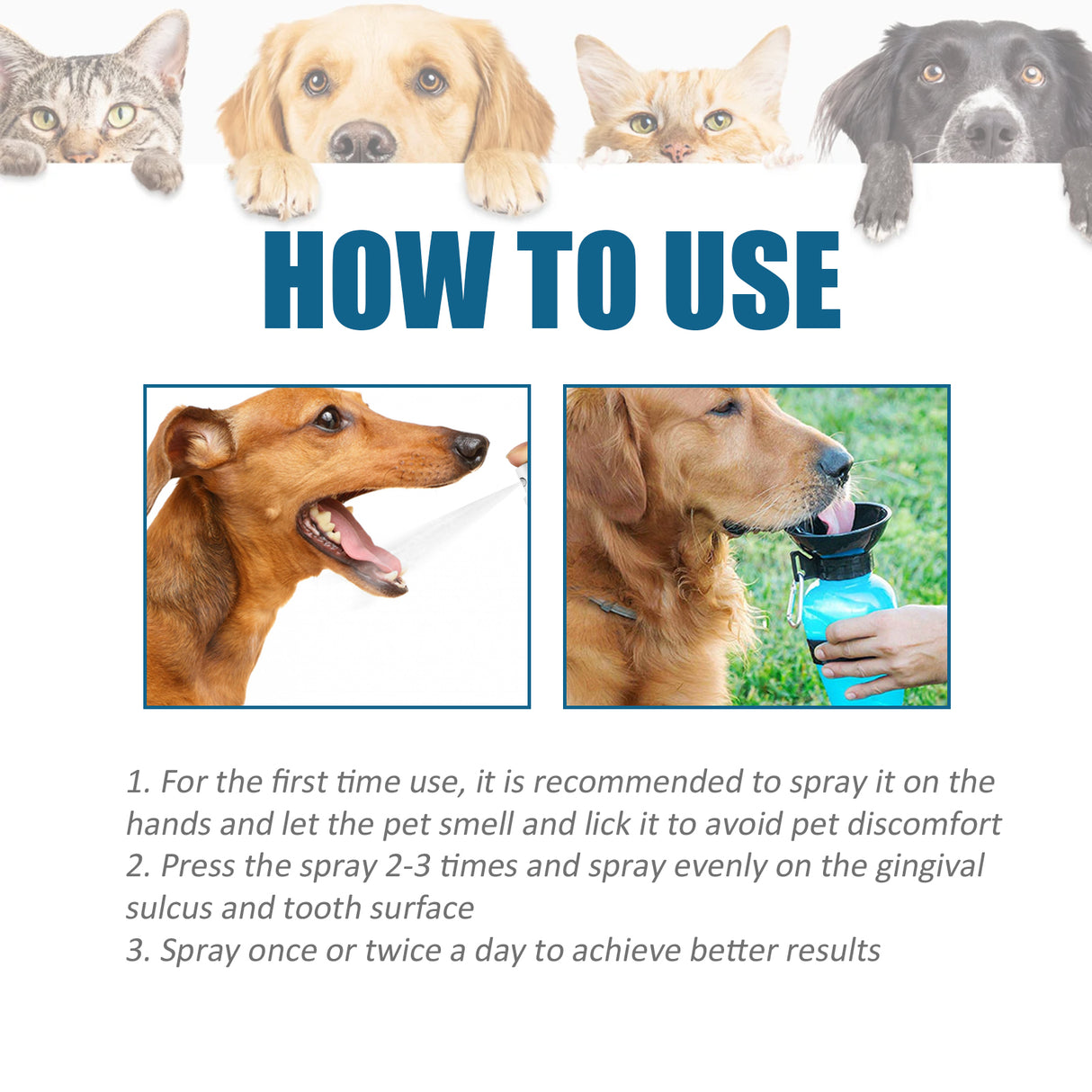 Pet Oral Cleaning Spray, Cats And Dogs Remove Tartar And Bad Breath Fresh Mouth Care Spray - V.I.P Digital Presence