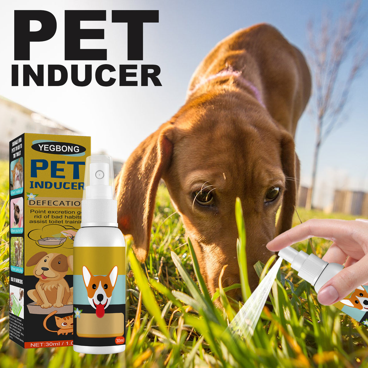 Pet Defecation Locator Spray, Pet Poop Location Pet Cats And Dogs Locate Defecation Inducers - V.I.P Digital Presence