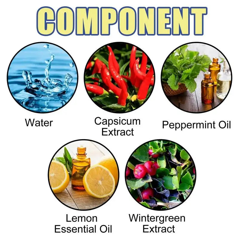 Car Household R odent R epellent Engine Compartment Medicine 60ML Anti-Mouse Trap Anti-Fantastic Mouse Trap Electric Cat Spray - V.I.P Digital Presence