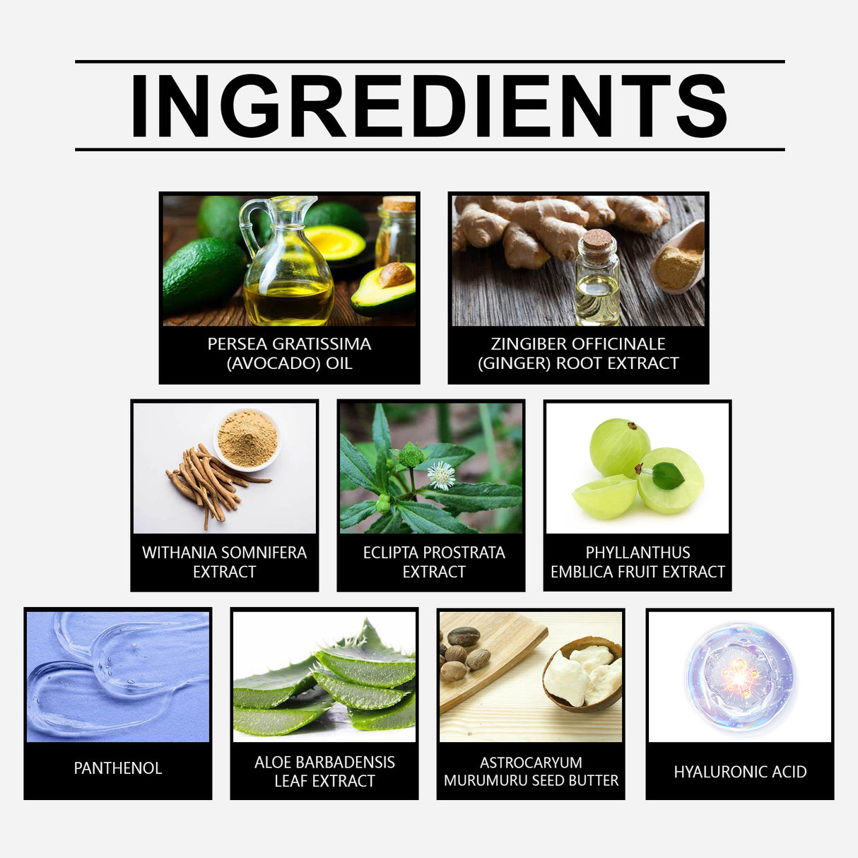 Herbal Nourishing Conditioner Prevents Dry And Frizzy Hair And Brightening Repair Smoothing Conditioner - V.I.P Digital Presence