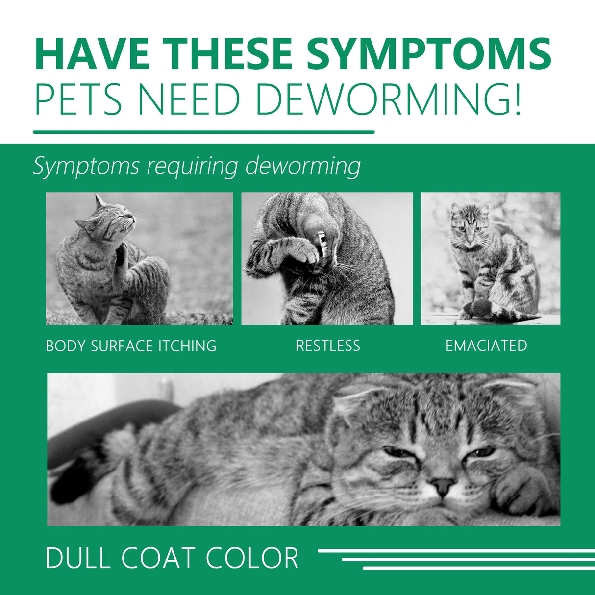 Pet Deworming Collar, Flea Resistant Tick Resistant Pet Waterproof Adjustable Deworming Collar - V.I.P Digital Presence