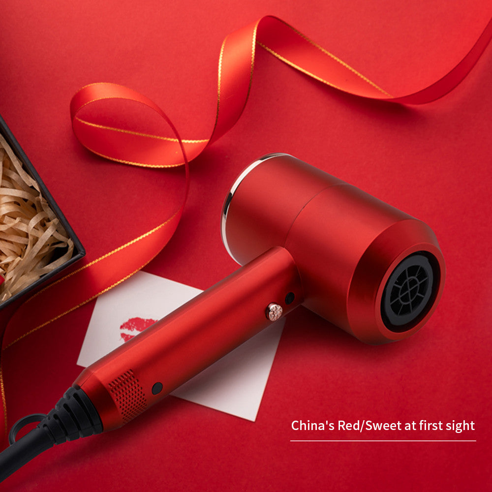 Hair Dryer Household Hammer Hair Dryer Hair Salon High Power Hair Dryer Hotel 110v Small Appliances - V.I.P Digital Presence