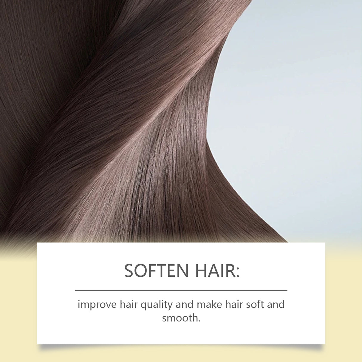 Nourishing Hair Care Tea Oil Spray Herbal Extraction Camellia Seed Oil Repair Dry And Smooth Hair Treatment - V.I.P Digital Presence