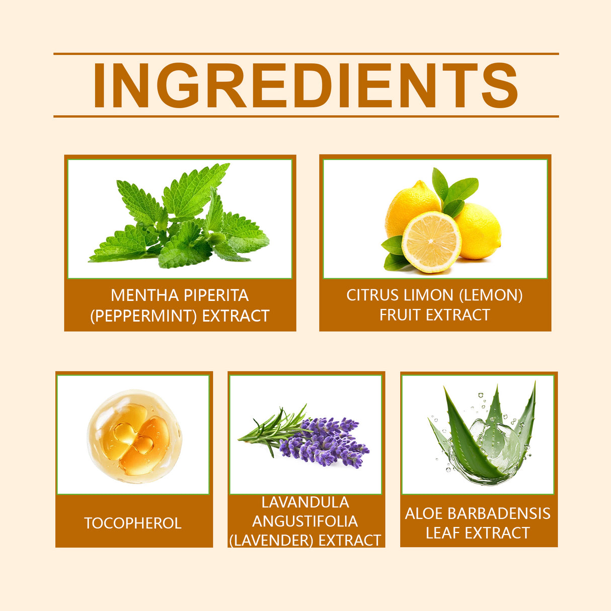 Herbal Gum Powder Herbal Care Clean Teeth Clean Fresh Remove Yellow Stains Clean Teeth - V.I.P Digital Presence