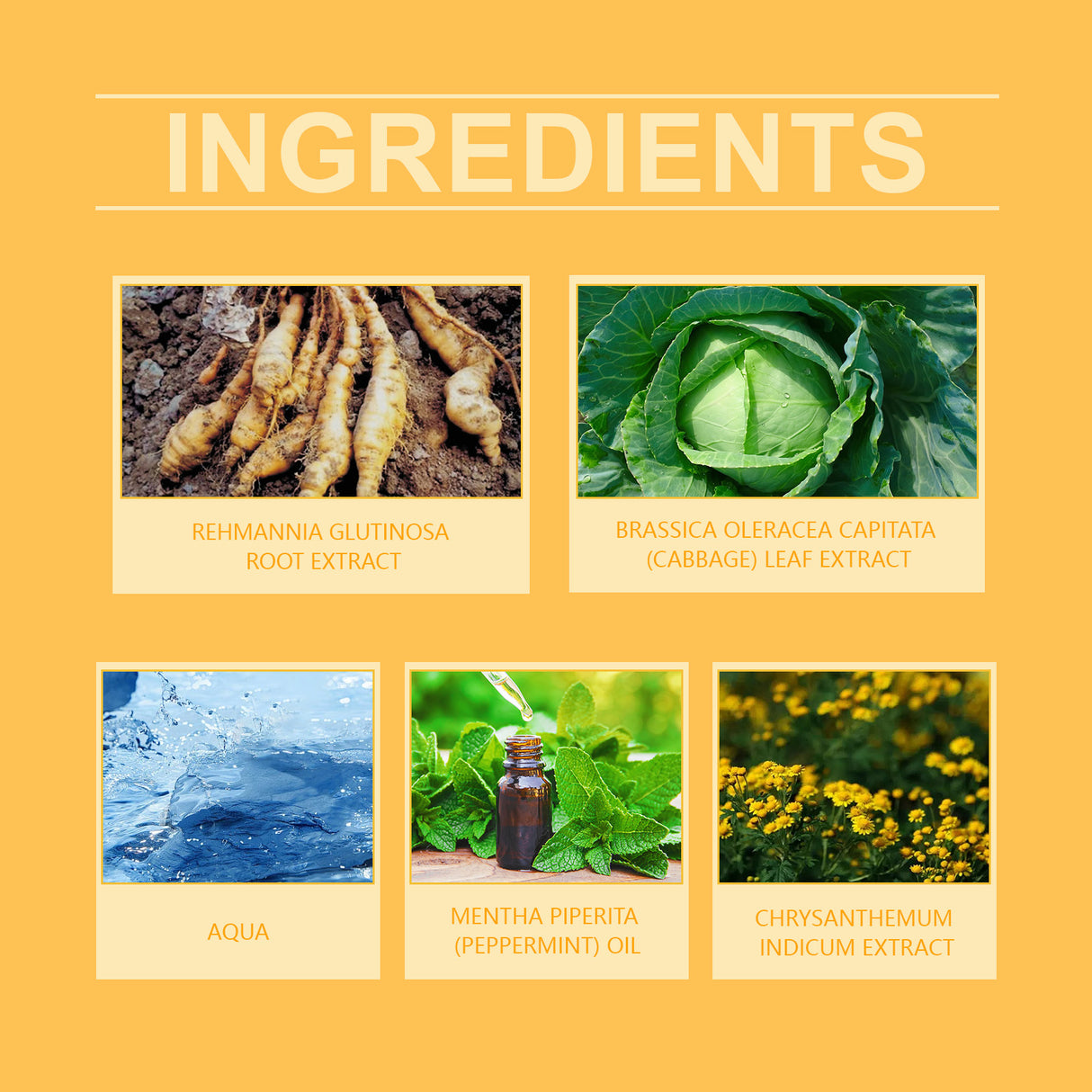 Herbal Care Cream Moisturizes, Moisturizes, Relieves Skin Discomfort And Gently Caress Skin - V.I.P Digital Presence