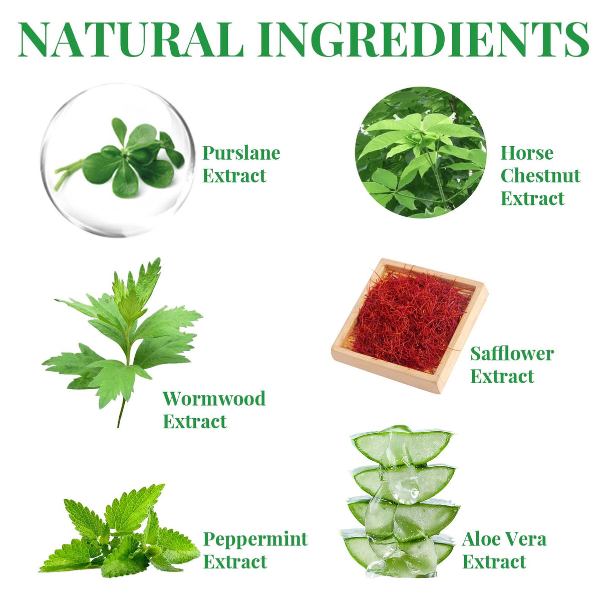 Purslane Extract Conditioning Spray, Repair Earthworm Leg Relieve Leg Soreness Vein Massage Care Spray - V.I.P Digital Presence