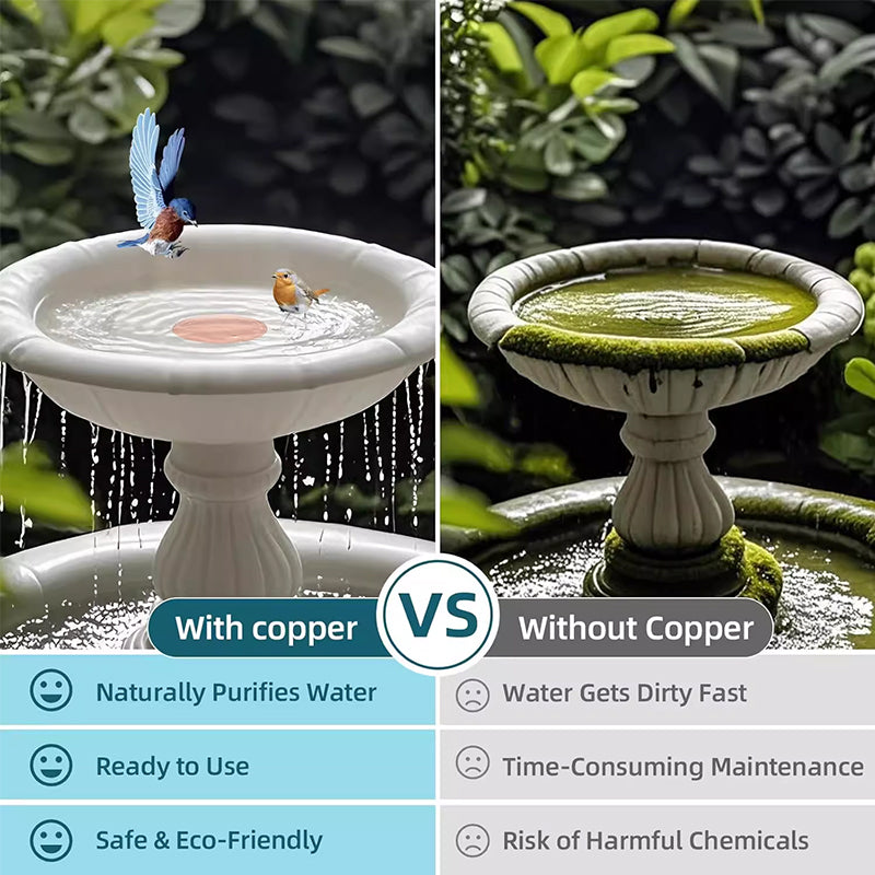Universal Bird Bath Copper Tray with 3-point Support Purification Plate – for Outdoor Bird Baths & Feeding Bowls - V.I.P Digital Presence