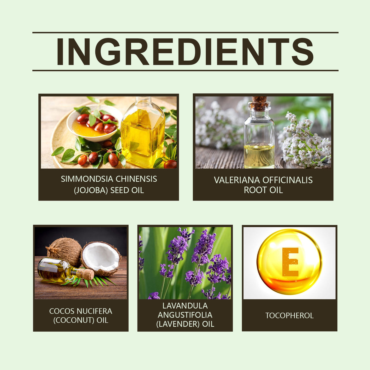 Valerian Root Sleep Essential Oil Gentle Essential Oil Formula Pamper The Body For A Restful Night - V.I.P Digital Presence