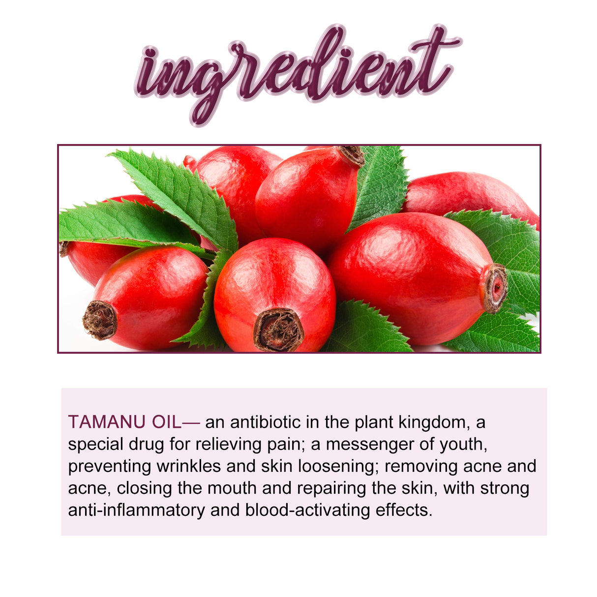 Tamanu Facial Oil, Relieves Acne Marks Fine Lines Moisturizes and Firms Skin Essential Oil - V.I.P Digital Presence