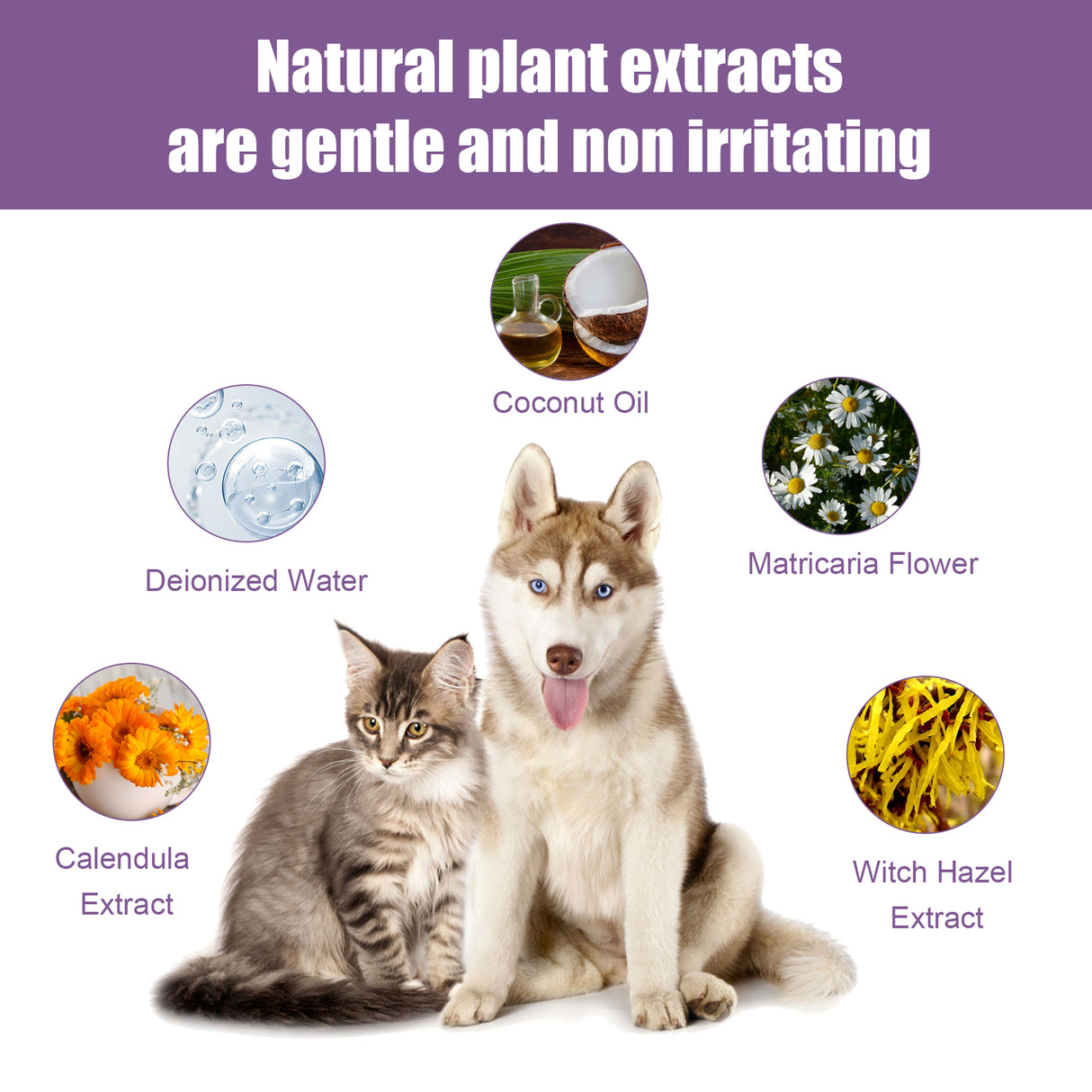 Pet Ear Cleaner, Cats And Dogs Relieves Ear Canal Odors Cleaning Earwax Ear Wash Drops - V.I.P Digital Presence