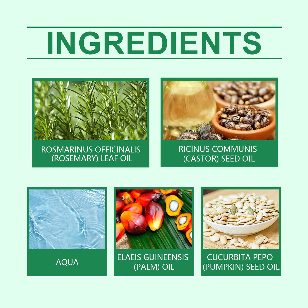 Rosemary Oil Hair Essential Oil Strengthens, Softens And Nourishes Hair Care Rosemary Oil Essential Oil - V.I.P Digital Presence