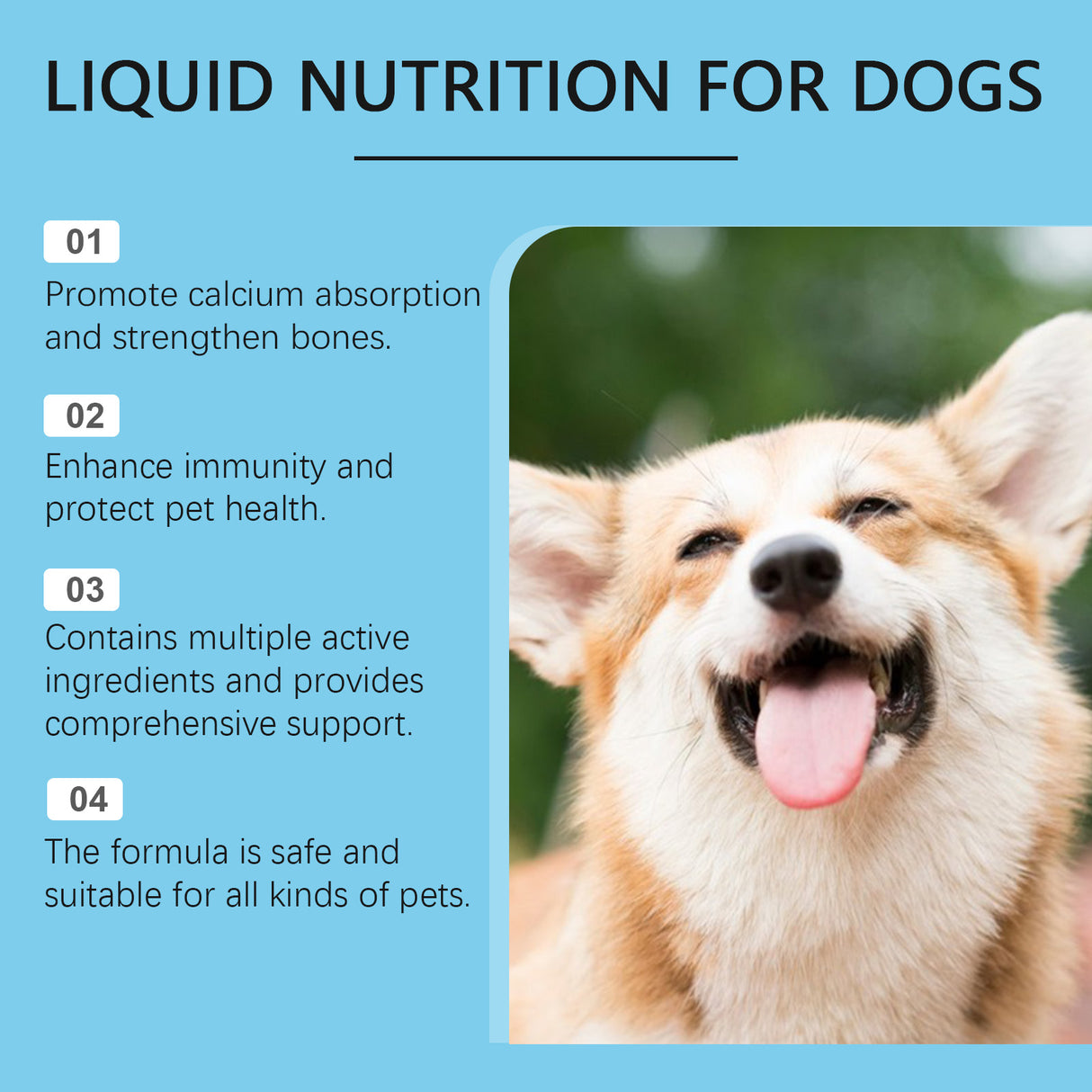 Pet Vitamin Supplement Drops Enhance Immunity And Promote Vitality Healthy Dietary Supplement Drops - V.I.P Digital Presence