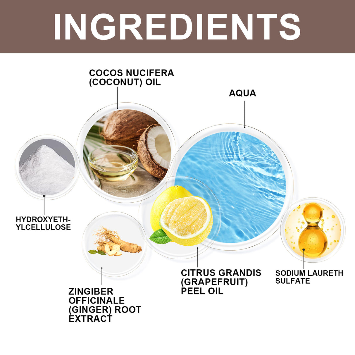 Coconut Oil Shampoo Scalp Cleansing Care Soft Shine Nourishing Hair Follicle Shampoo - V.I.P Digital Presence