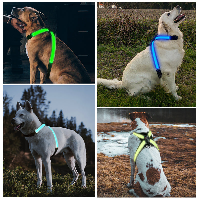 Pet supplies: explosion - proof, flushable, 8 - gear, color - changing LED, chest braces, clothes and collars with traction. - V.I.P Digital Presence