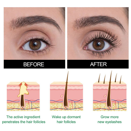 Mild Care Strengthening Eyelash Serum, Volute Thick Black Beautiful Slender Natural Gentle Not Easy To Stain Mascara - V.I.P Digital Presence