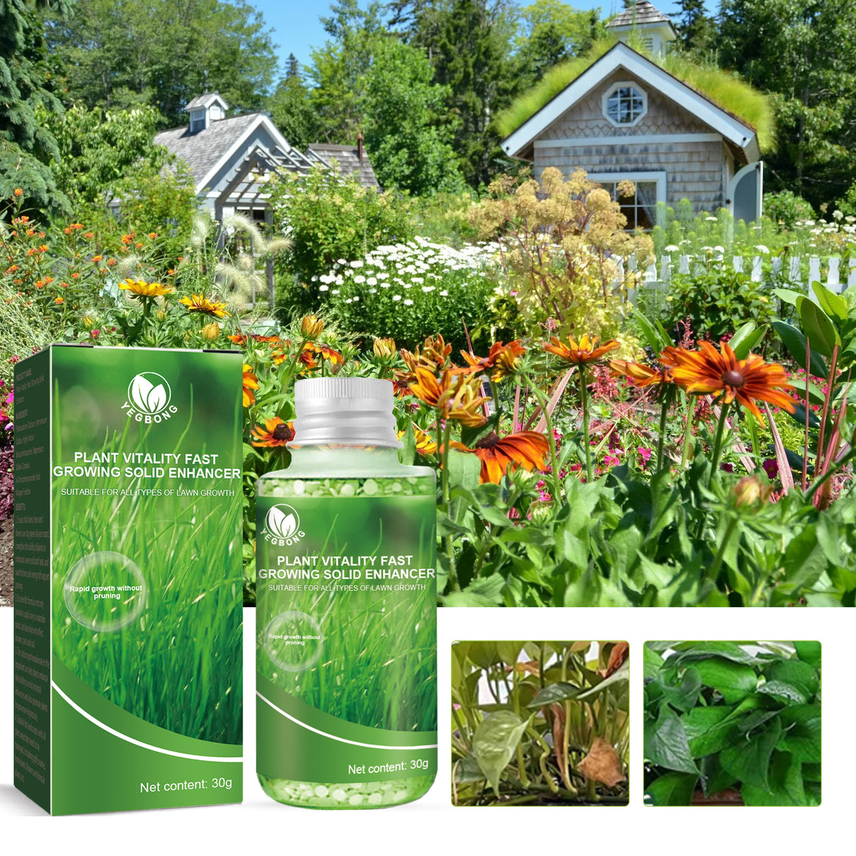 Plant Nutrient, Plant Fertilizer Flower Potted Lawn Green Leaf Root Growth Nutrient - V.I.P Digital Presence