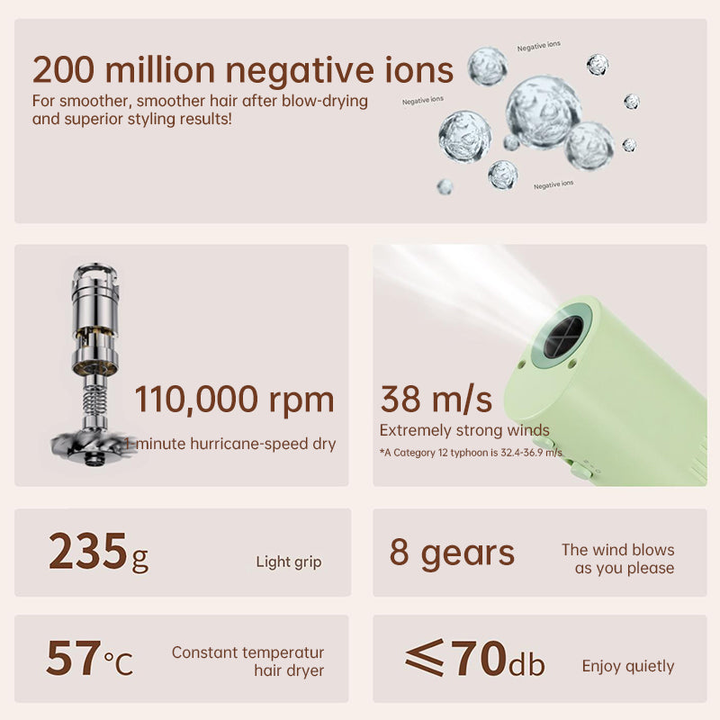 Pet hair dryer for pet care: high power, quiet, energy-saving, dog grooming, fast drying. Only suitable for 220V countries. - V.I.P Digital Presence