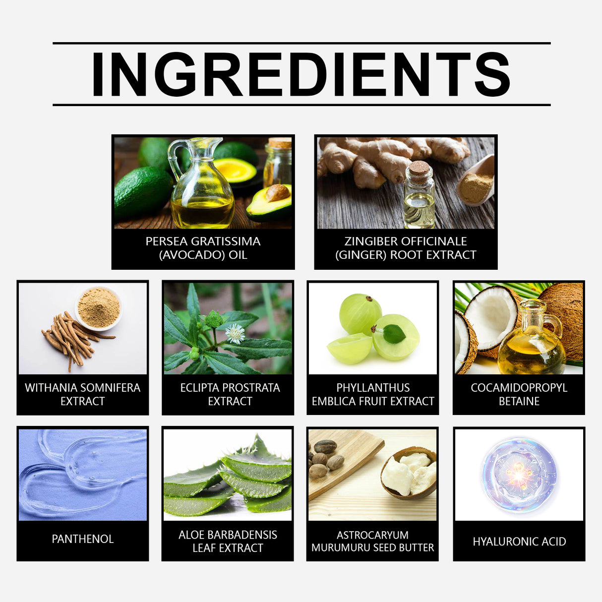 Herbal Hair Care Shampoo Gently Cleanses Scalp And Improves Frizzy Hair Care Shampoo - V.I.P Digital Presence