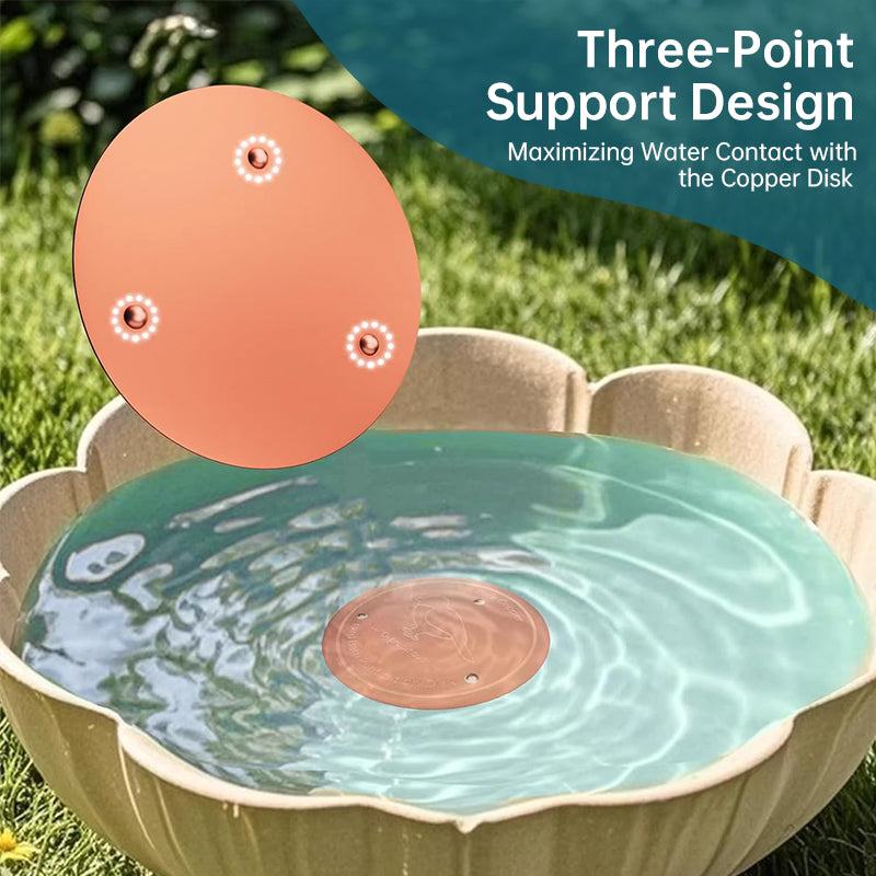 Universal Bird Bath Copper Tray with 3-point Support Purification Plate – for Outdoor Bird Baths & Feeding Bowls - V.I.P Digital Presence
