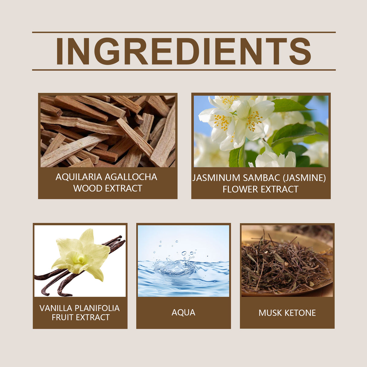 Temperament Wood Fragrance Daily Portable Lasting Fragrance Fresh Deep Wood Fragrance Oriental Eau De Toilette - V.I.P Digital Presence