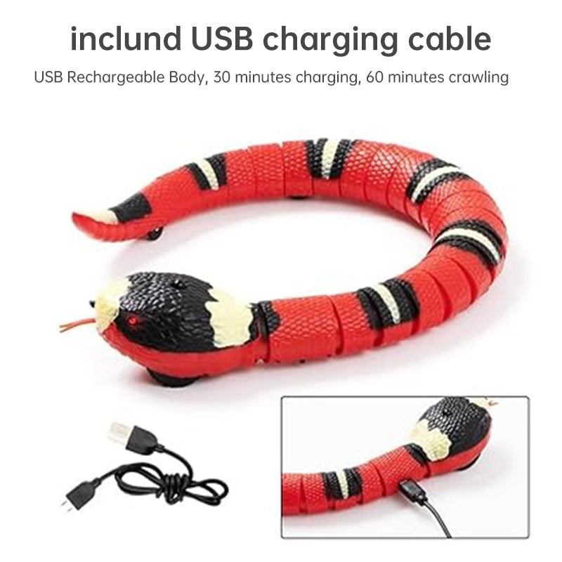 USB Rechargeable Interactive Cat Toy with Smart Sensing, an Automatic Electronic Snake for Kittens' Indoor Play. - V.I.P Digital Presence