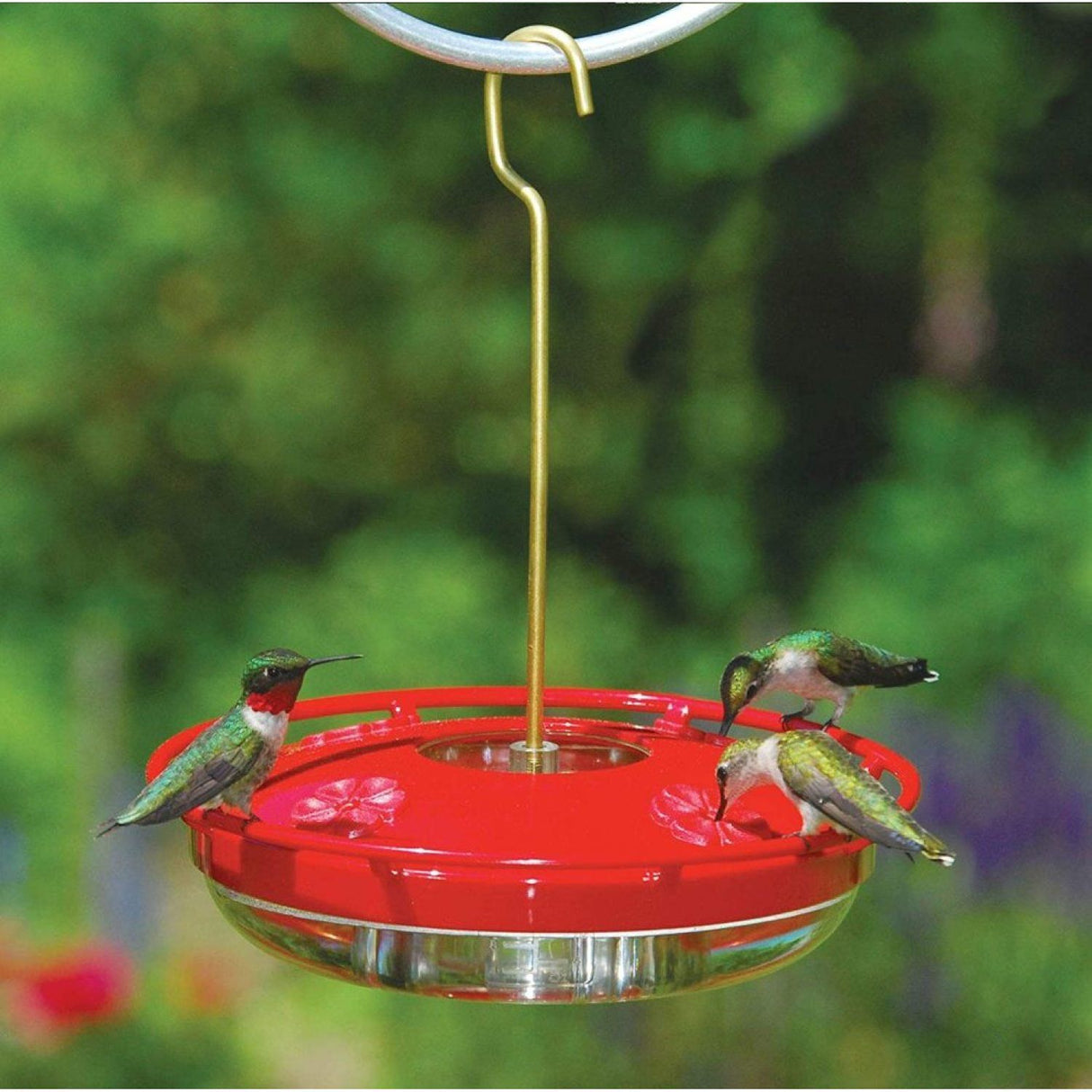 Creative Hummingbird Feeder, Outdoor Hanging Hummingbird Feeder, Hummingbird Feeding Device - V.I.P Digital Presence
