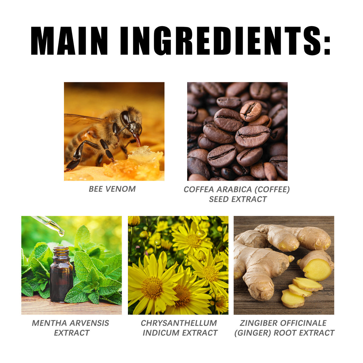 Bee Venom Care Cream Gentle Light Care Firming Muscle Curves Body Moisturizing Moisturizer - V.I.P Digital Presence