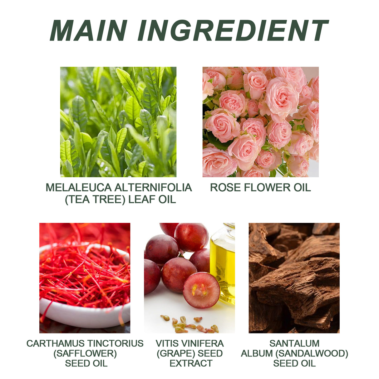 Tea Tree Yoni Oil - V.I.P Digital Presence