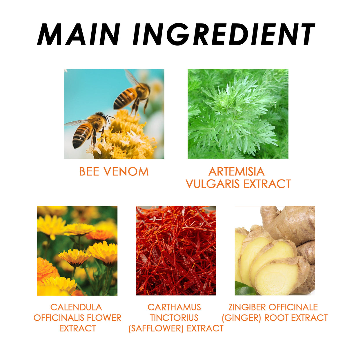 Bee-Venom Shaped Lymphatic Patch, Which Relieves Lymphatic Swelling And Tightenes Body And Arms - Meat Belly Button Patch - V.I.P Digital Presence