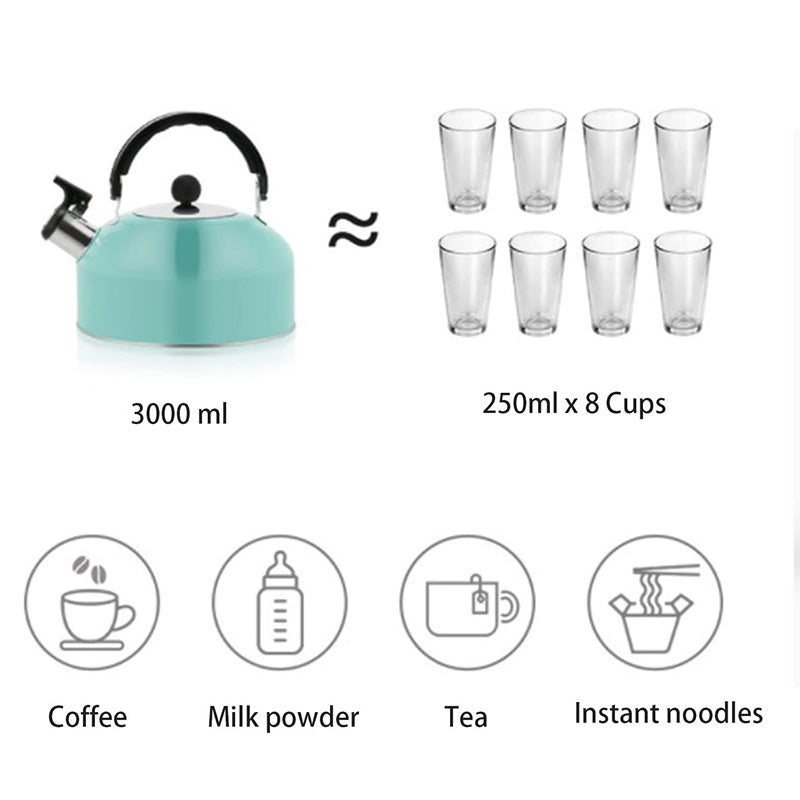 A 3L stainless - steel kettle for gas heating. It features a whistle and a comfortable handle, suitable for cooking and tea. - V.I.P Digital Presence