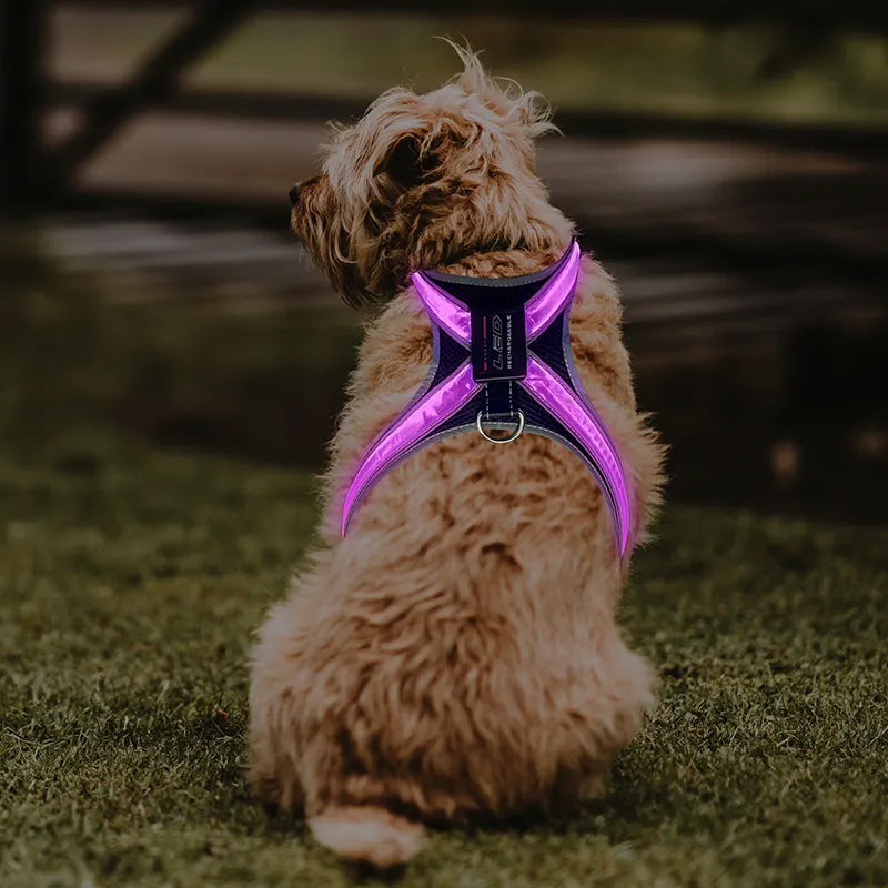 Pet supplies: explosion - proof, flushable, 8 - gear, color - changing LED, chest braces, clothes and collars with traction. - V.I.P Digital Presence