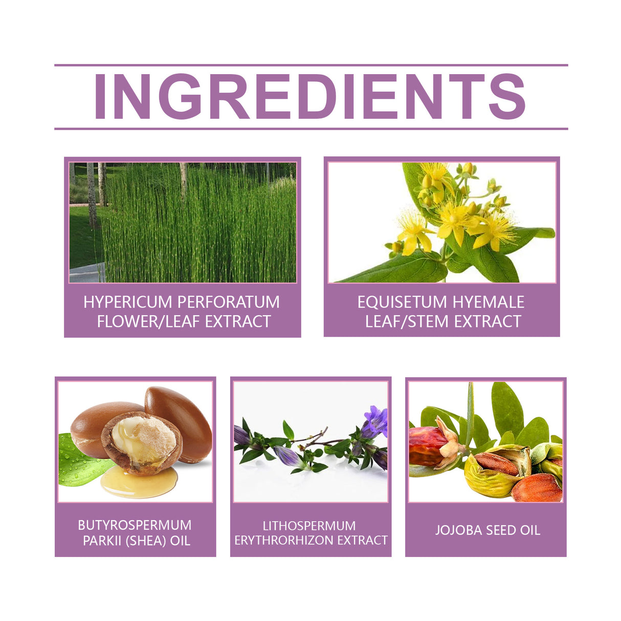 Herbal Care Cream Relieves Elbow And Knee Discomfort With A Pampering Moisturizing Herbal Massage Cream - V.I.P Digital Presence