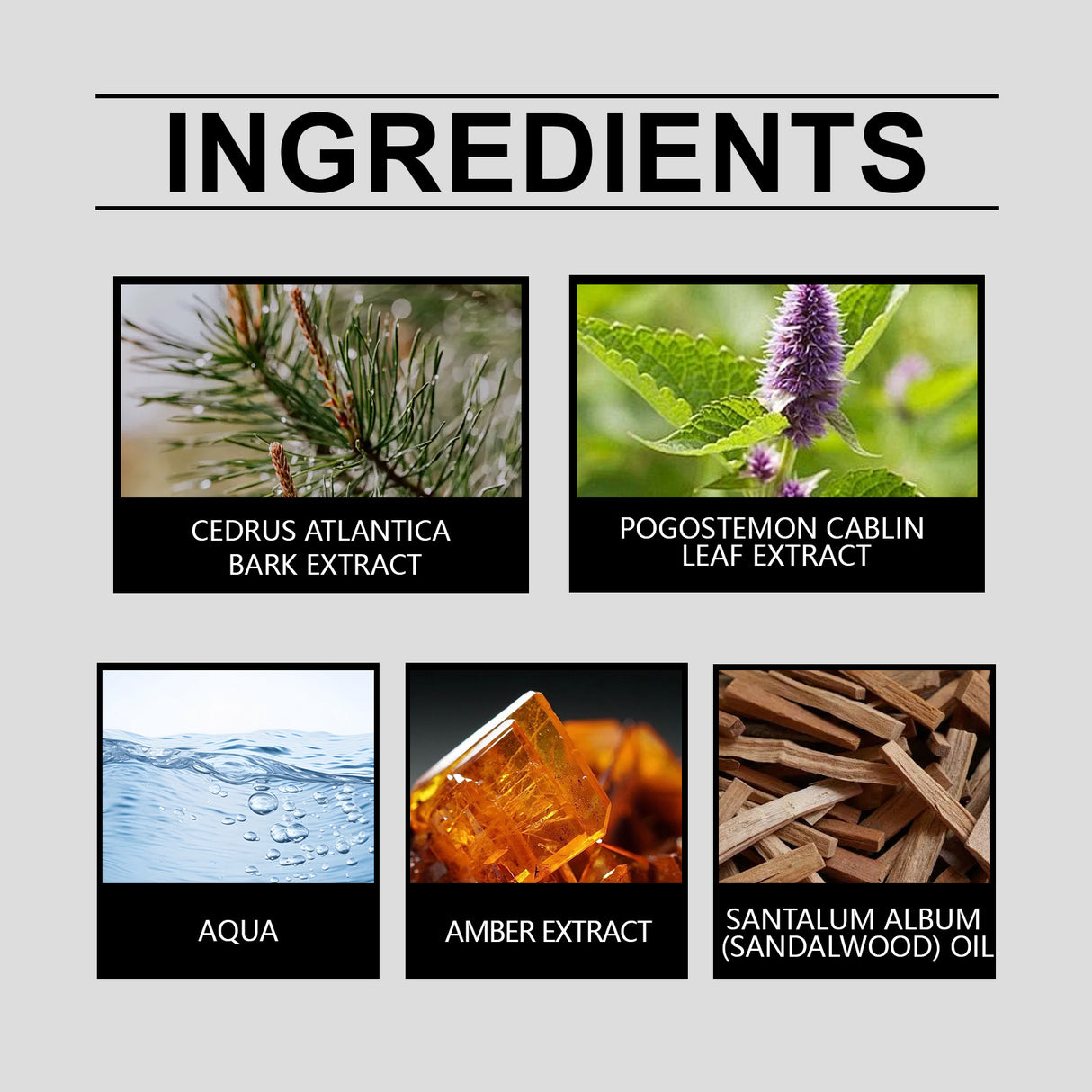 Cologne Luxury Eau De Toilette Light And Fresh Cologne Fragrance Lasting Fragrance Portable Dating Fragrance Perfume - V.I.P Digital Presence